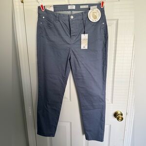 NWT Gray Curve Denim Pants
